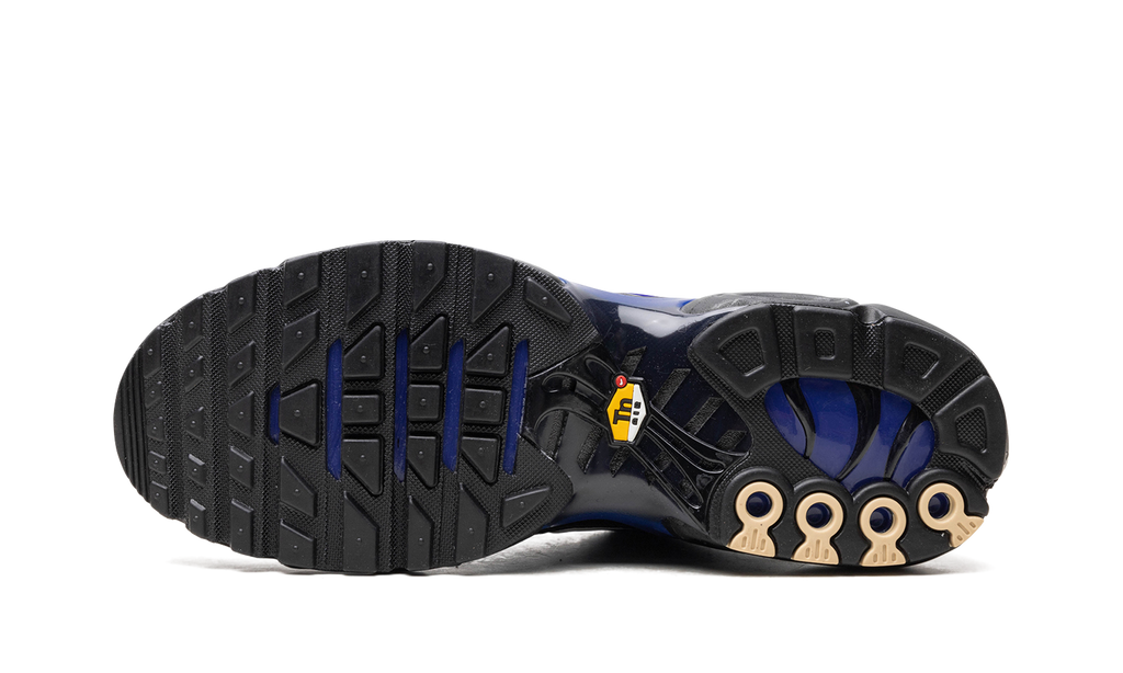 Nike AIR MAX PLUS Black FQ7331-001