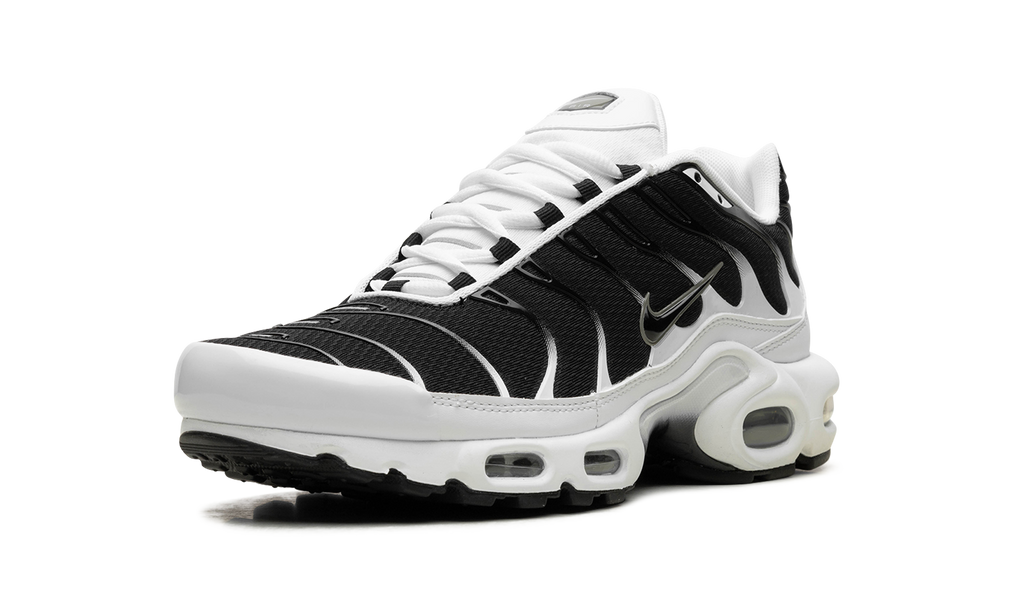 Nike Air Max Plus Black / White CT1094 102