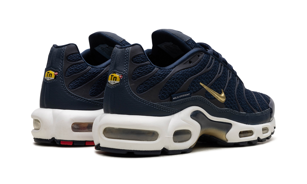 Nike Air Max Plus FFF fb3350 400