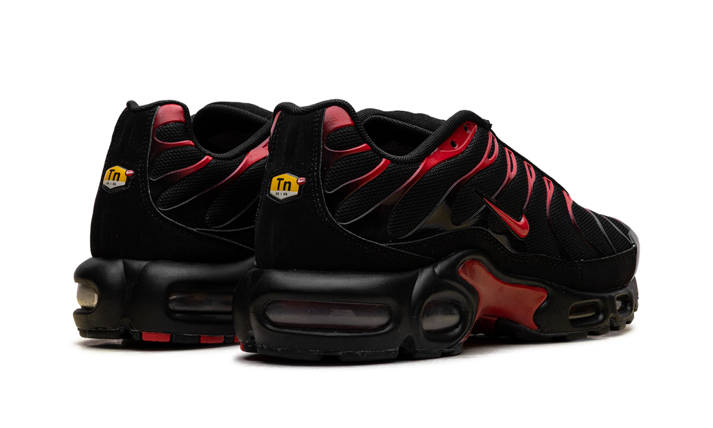 Nike Air Max Plus Bred CU4864 001
