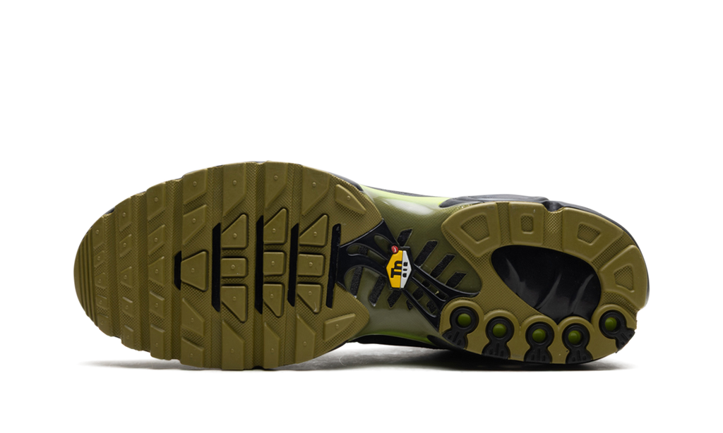 Nike Air Max Plus Green DM0032 010