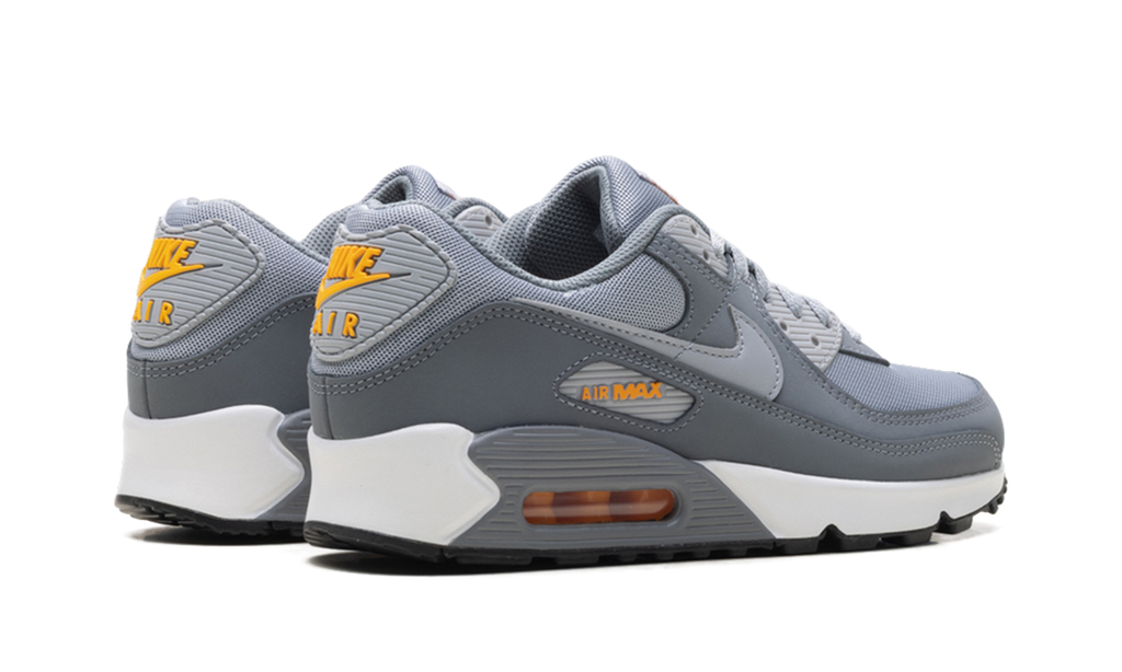 Nike Air Max 90 Cool Grey Sundial HV6224 002