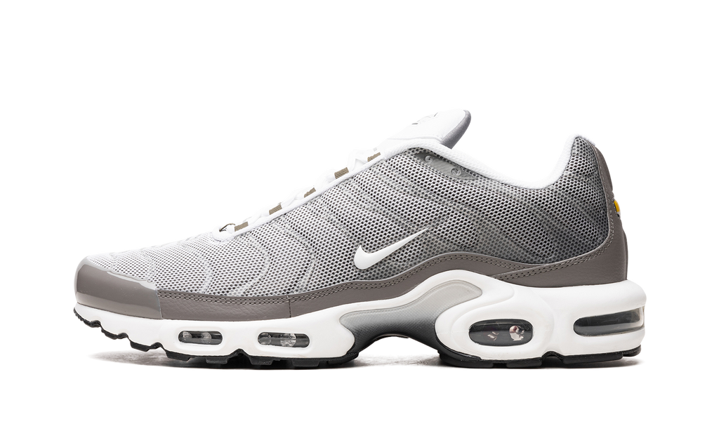 Nike Air Max Plus SE Flat Pewter DV7665 002