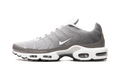 Nike Air Max Plus SE Flat Pewter DV7665 002