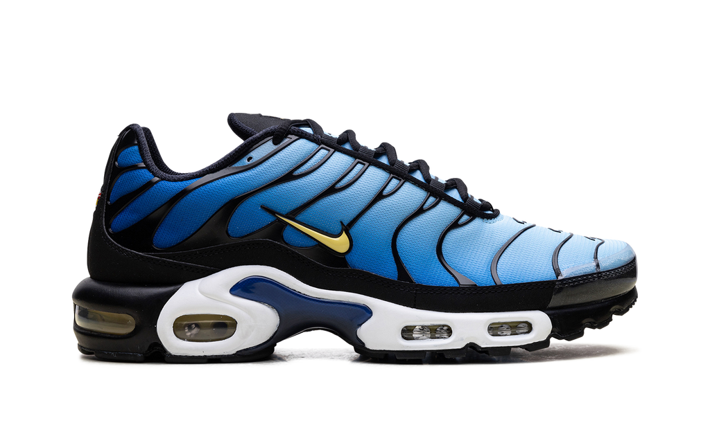 Nike Air Max Plus OG Hyper Blue DX0755 001
