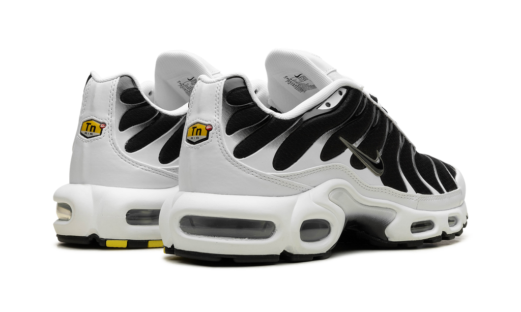 Nike Air Max Plus Black / White CT1094 102