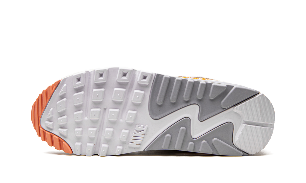 Nike AIR MAX 90 MNS WMNS We'll Take It From Here DV2188 100