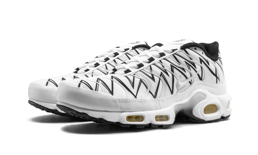 Nike Air Max Plus White Shark AJ6311 100