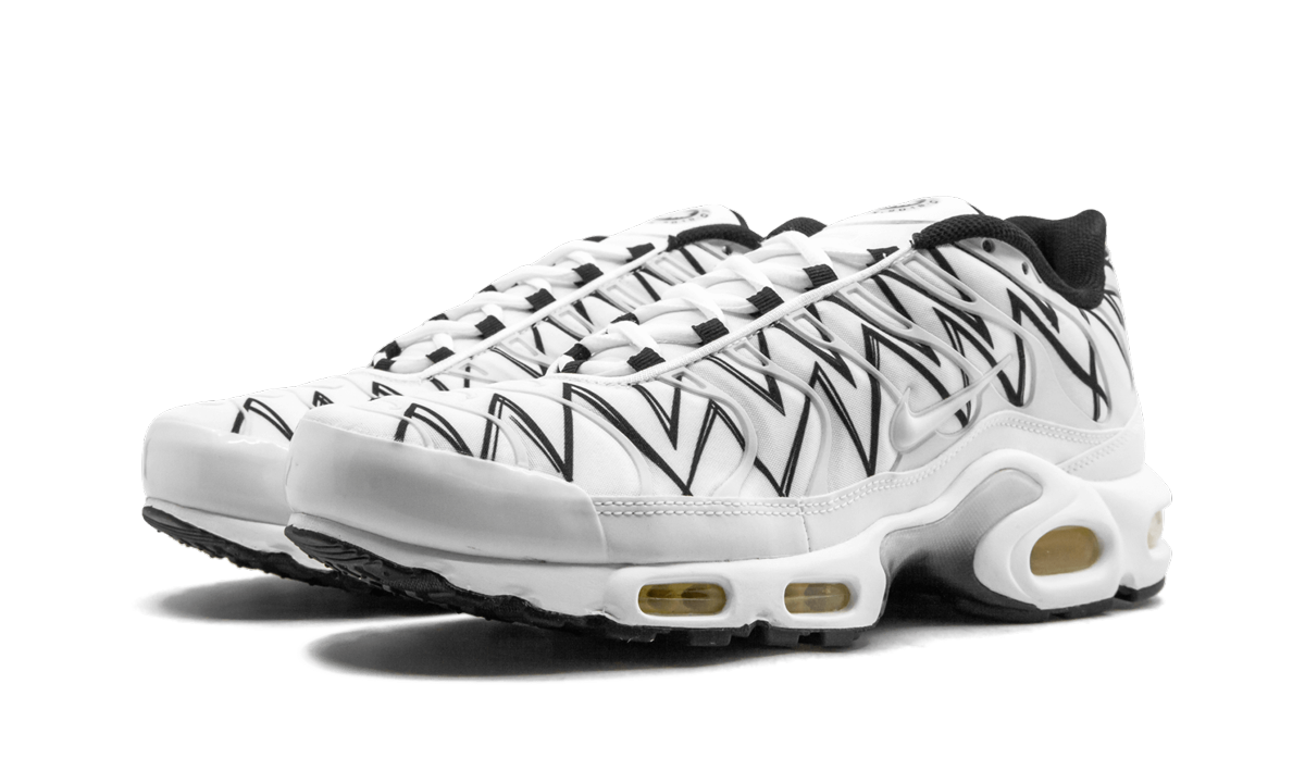 Nike Air Max Plus White Shark AJ6311 100