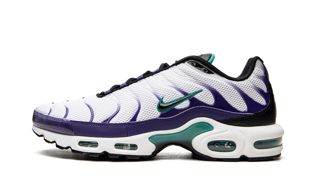 Nike Air Max Plus Grape DM0032 100