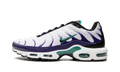 Nike Air Max Plus Grape DM0032 100
