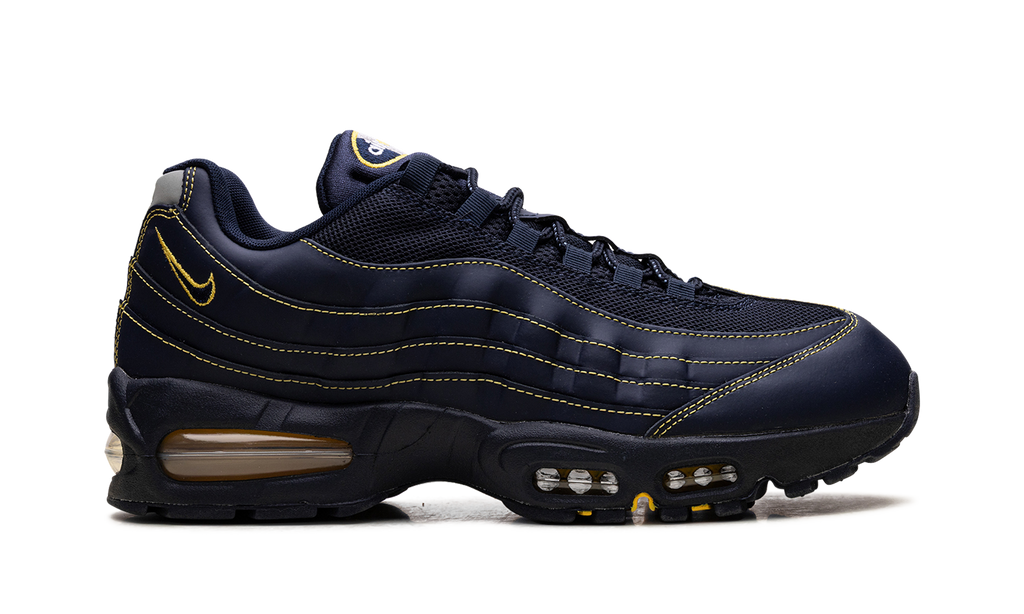 Nike Air Max 95 Michigan IB7936 400