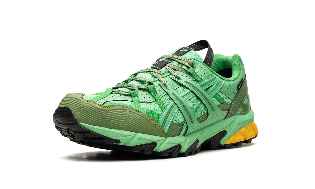 Asics HS4-S Gel-Sonoma 15-50 Gore-TEX Spring Bouquet 1201A440 300