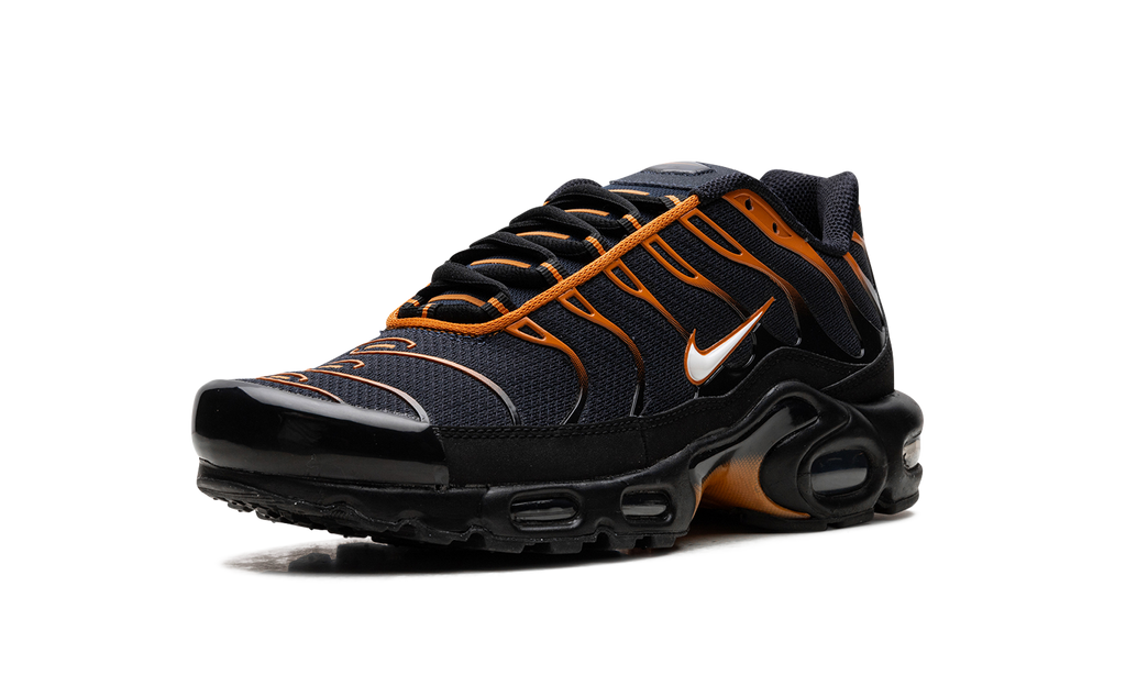 Nike Air Max Plus OBSIDIAN MONARCH FN6949 400