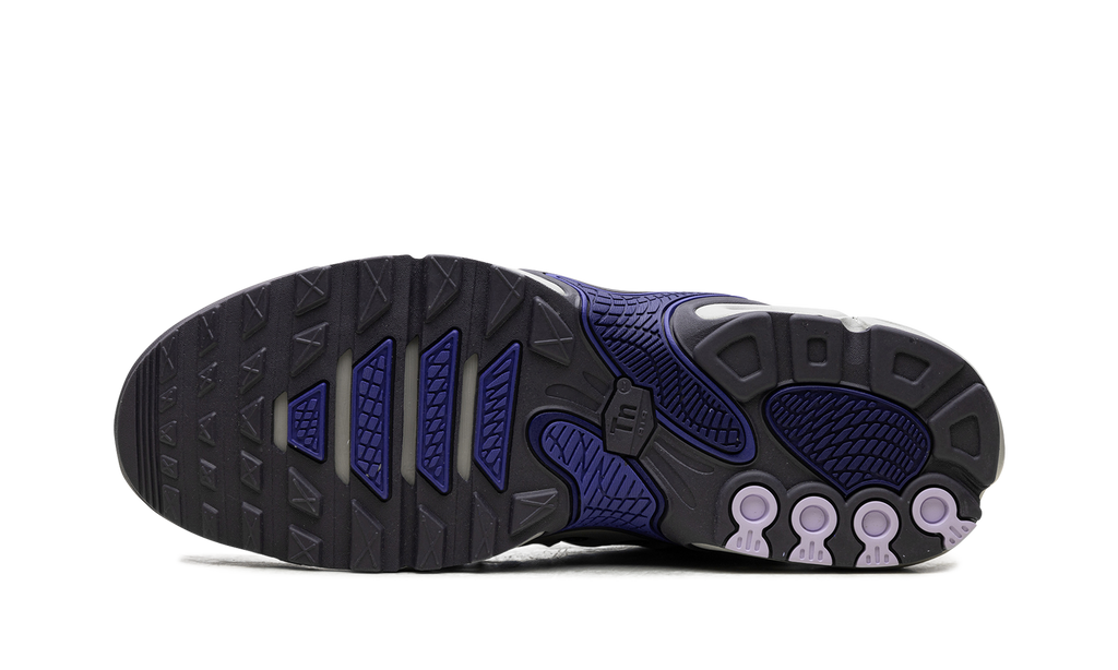 Nike Air Max Plus Drift Concord FD4290 007