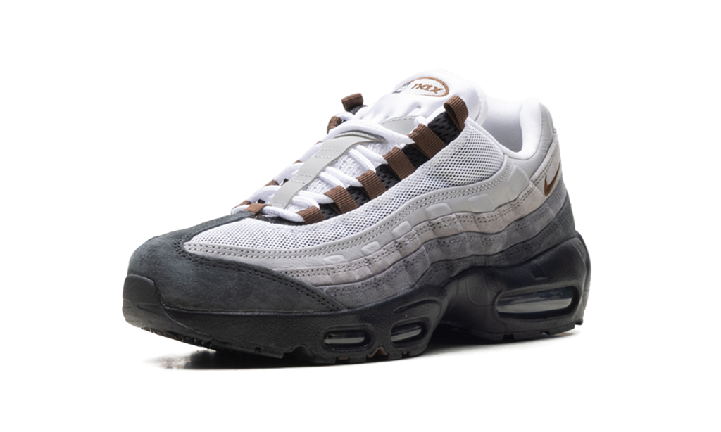 Nike Air Max 95 SB Cacao Wow HF7545 002