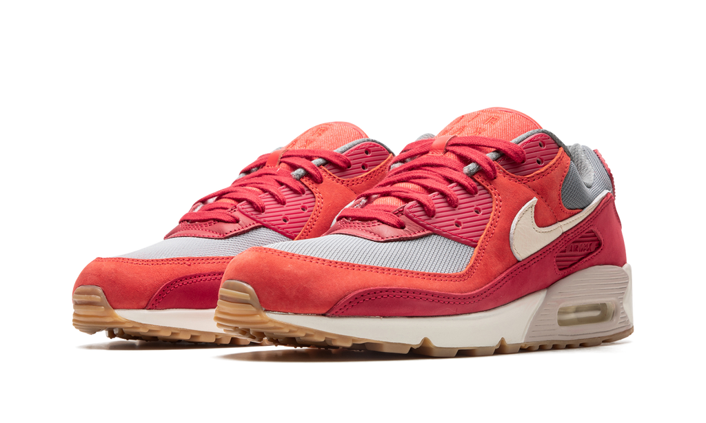 Nike Air Max 90 PRM Gym Red DH4621 600