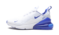 Nike Air Max 270 Kentucky DH0268 100