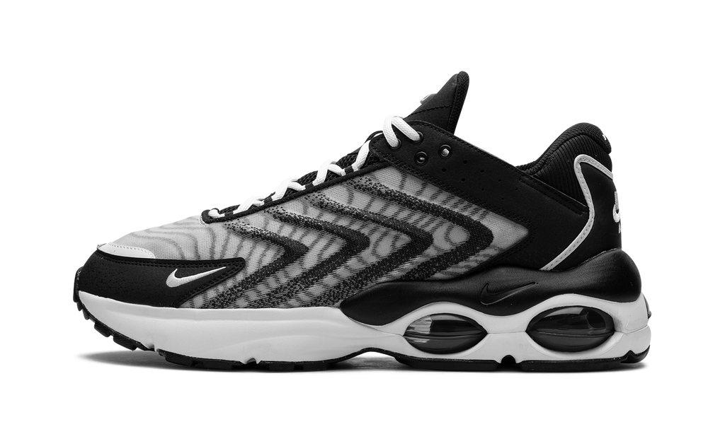 Nike Air Max TW Black White DQ3984 001