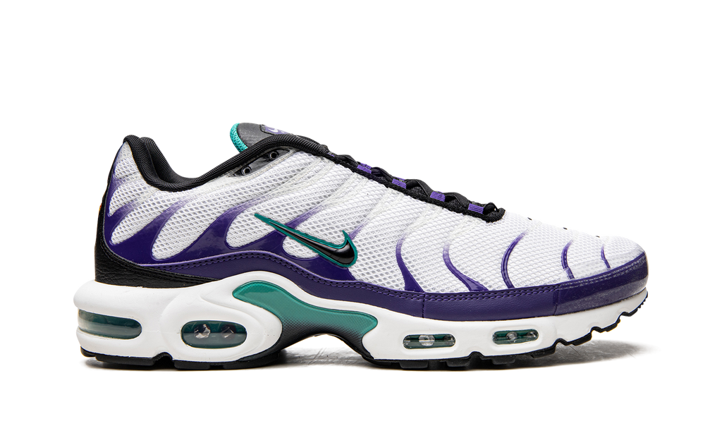 Nike Air Max Plus Grape DM0032 100