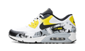 Nike Air Max 90 Premium DB Oregon