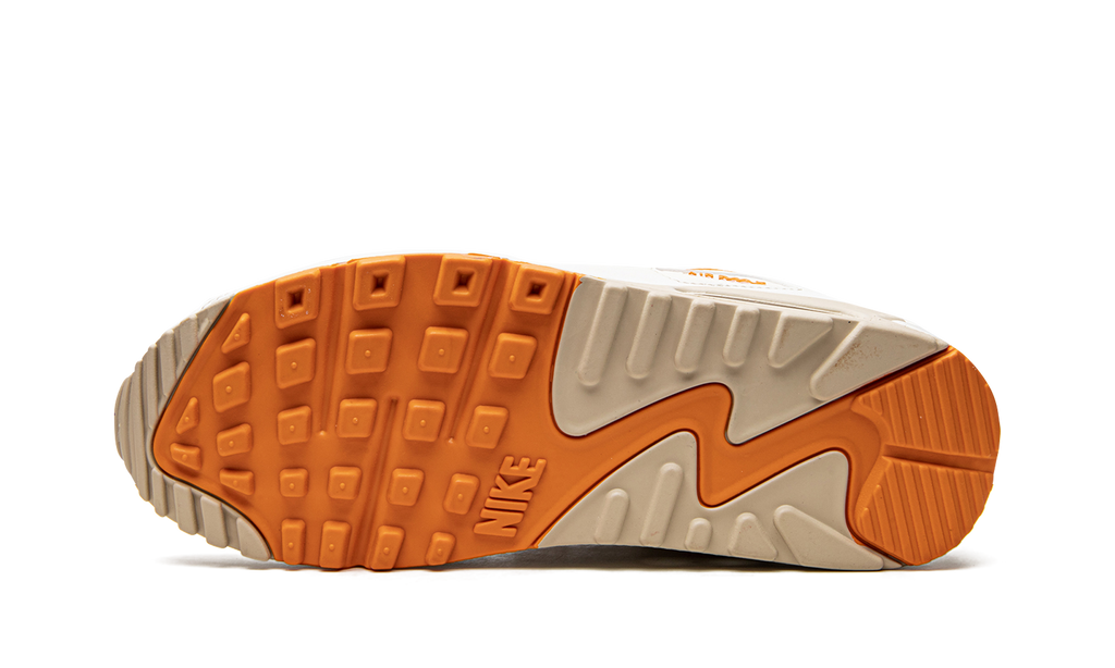 Nike AIR MAX 90 SE WMNS DQ8593 001