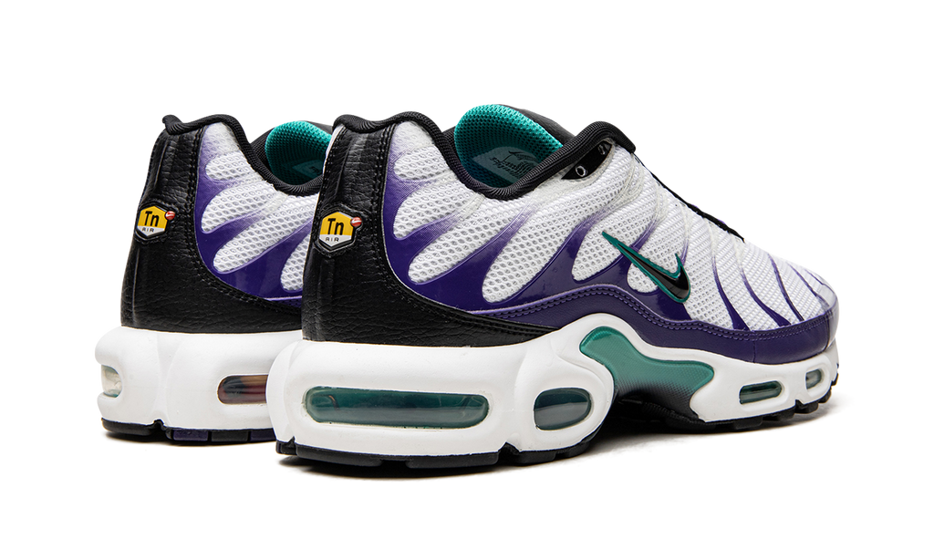 Nike Air Max Plus Grape DM0032 100