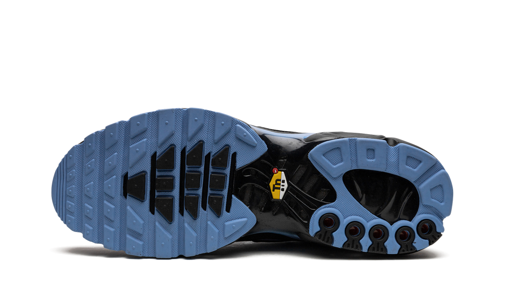 Nike Air Max Plus Black / University Blue DM0032 005