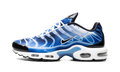 Nike Air Max Plus Light Streaks DZ3531 400