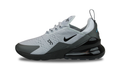 Nike Air Max 270 Wolf Grey Blue FD9747 001