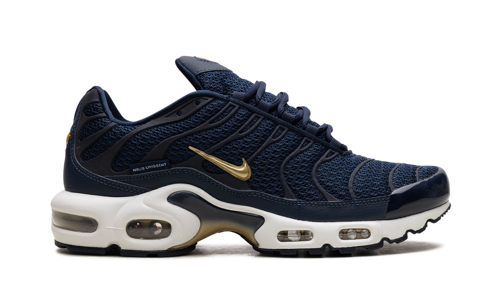 Nike Air Max Plus FFF fb3350 400