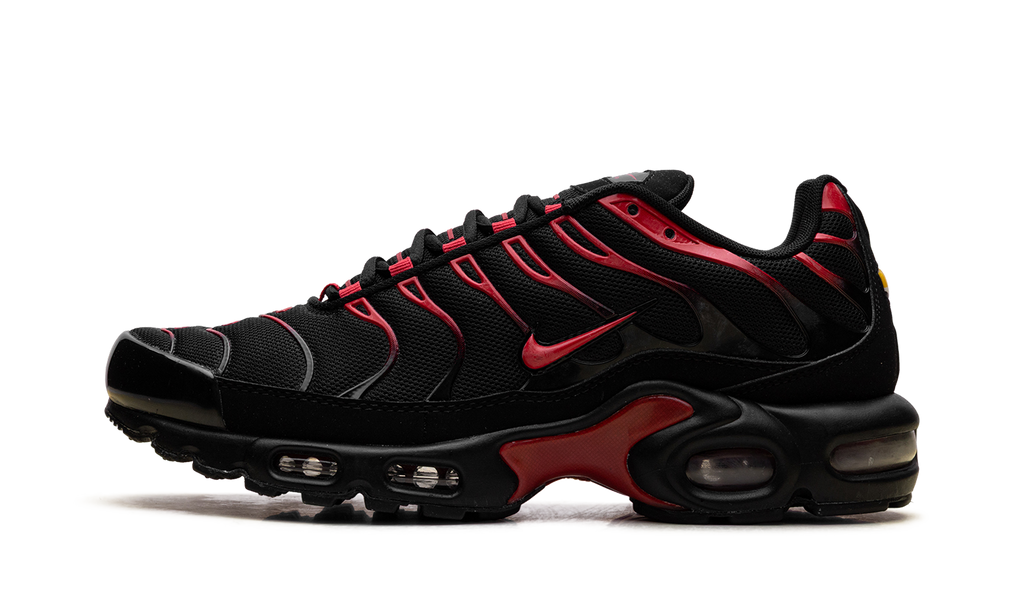 Nike Air Max Plus Bred CU4864 001