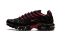 Nike Air Max Plus Bred CU4864 001