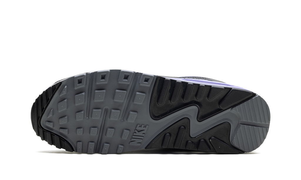 Nike Air Max 90 Light Thistle DM0029 014