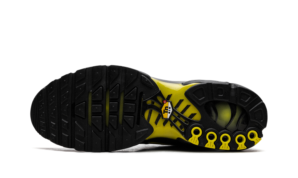 Nike Air Max Plus Wolf Grey Opti Yellow DM0032 012