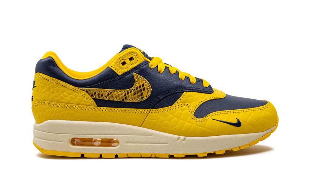 Nike AIR MAX 1 PRM MNS WMNS Co.jp Head to Head FJ5479 410
