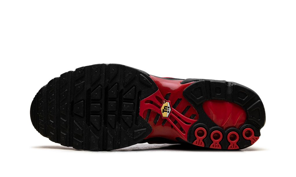 Nike Air Max Plus Bred CU4864 001