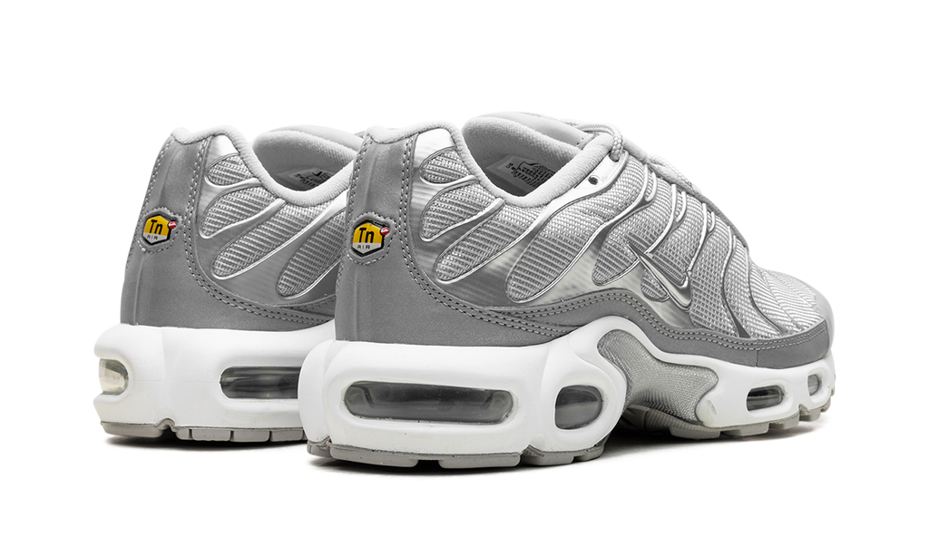 Nike Air Max Plus Metallic Silver Fj1012 095
