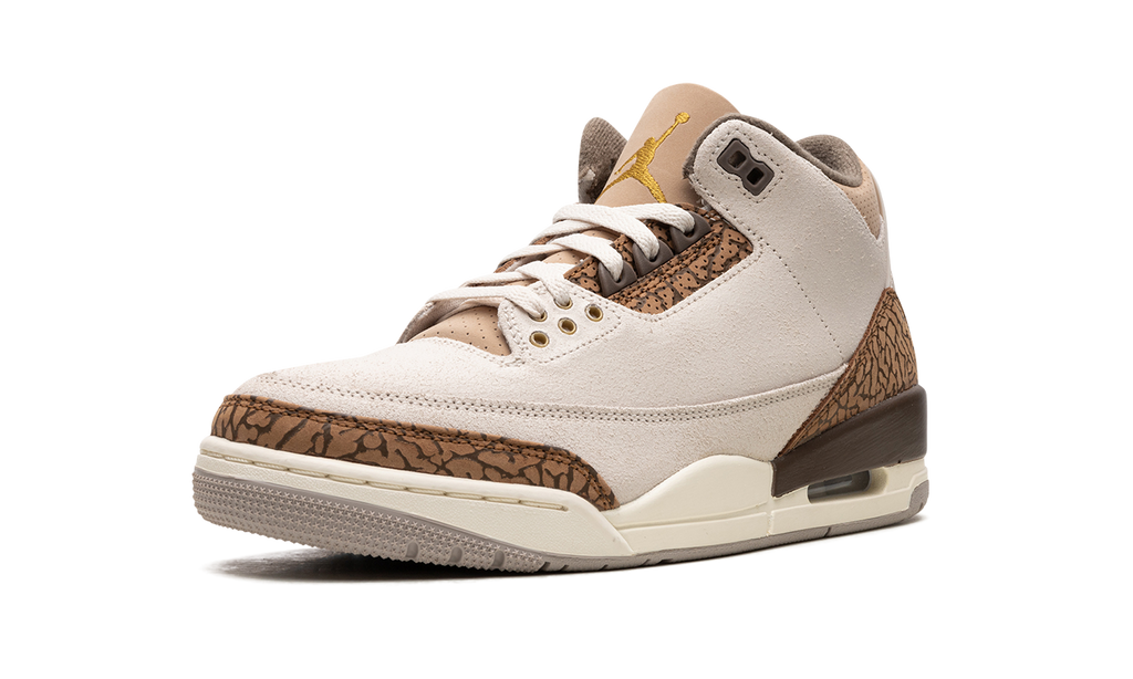 Air Jordan 3 Palomino CT8532 102