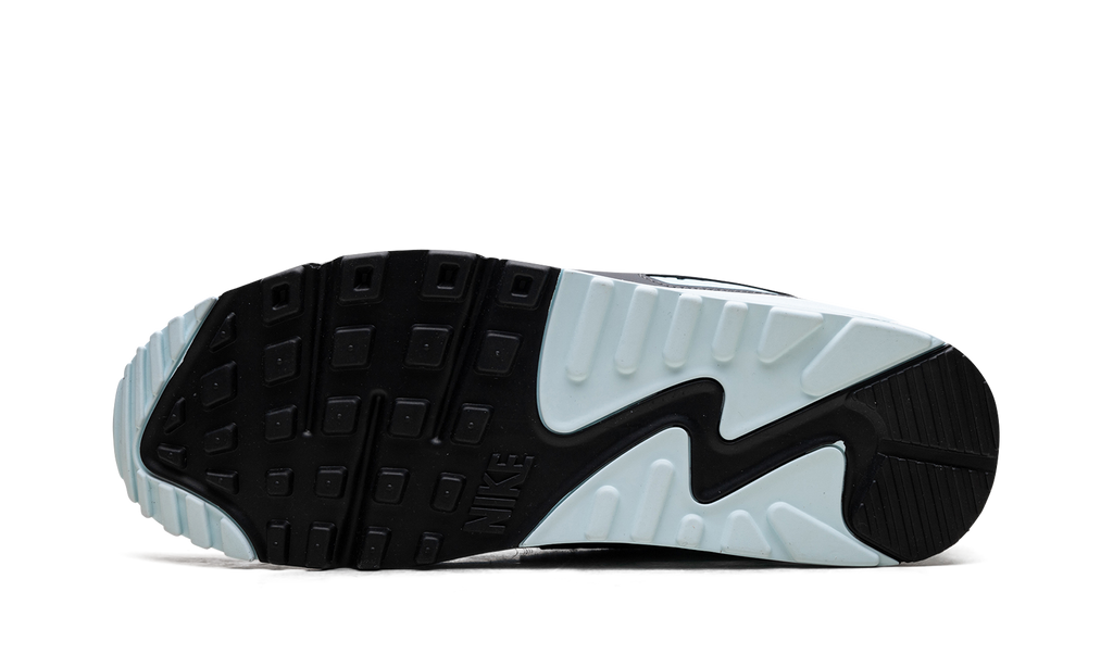 Nike Air Max 90 Pumice DM0029 009
