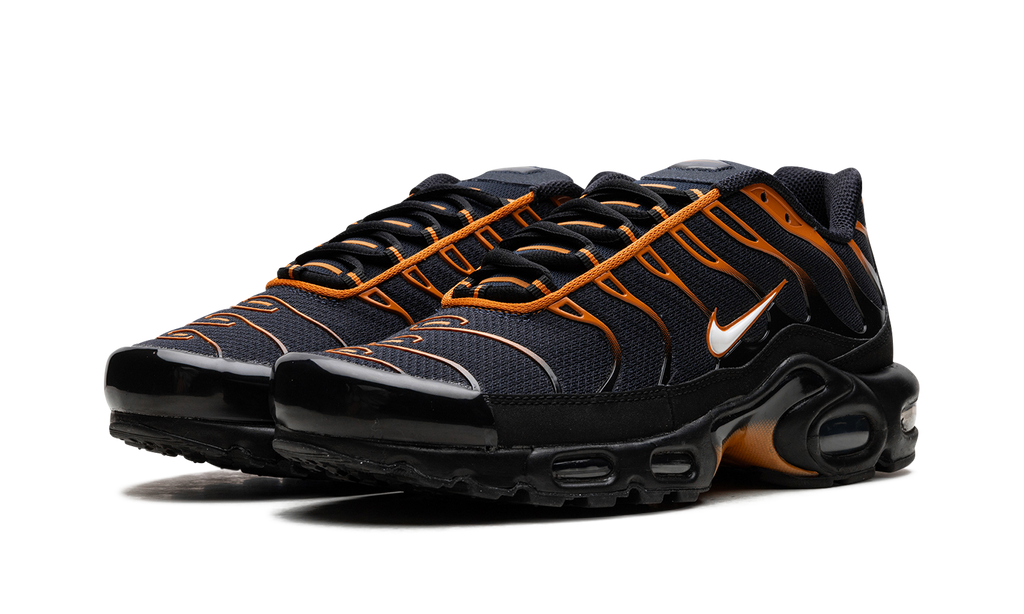 Nike Air Max Plus OBSIDIAN MONARCH FN6949 400