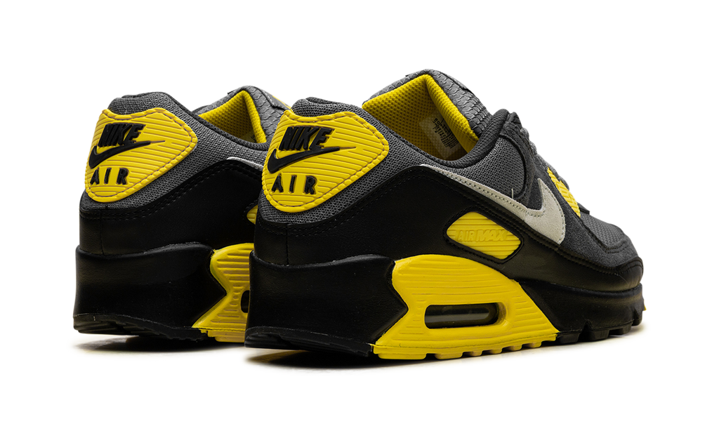 Nike Air Max 90 Smoke Grey Lightning DM0029 016