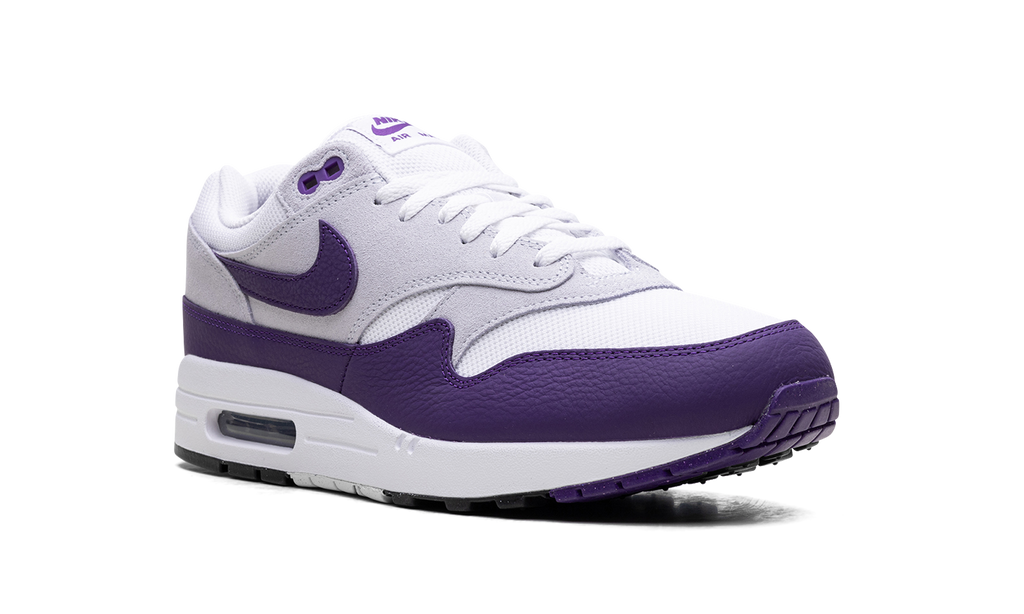 Nike Air Max 1 SC Field Purple DZ4549 101
