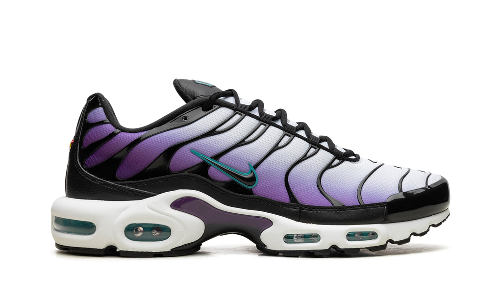 Nike Air Max Plus Reverse Grape FQ2415 500