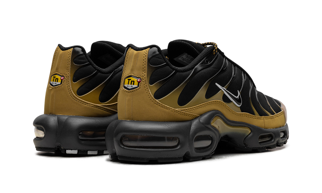 Nike AIR MAX PLUS Black FB9722-700