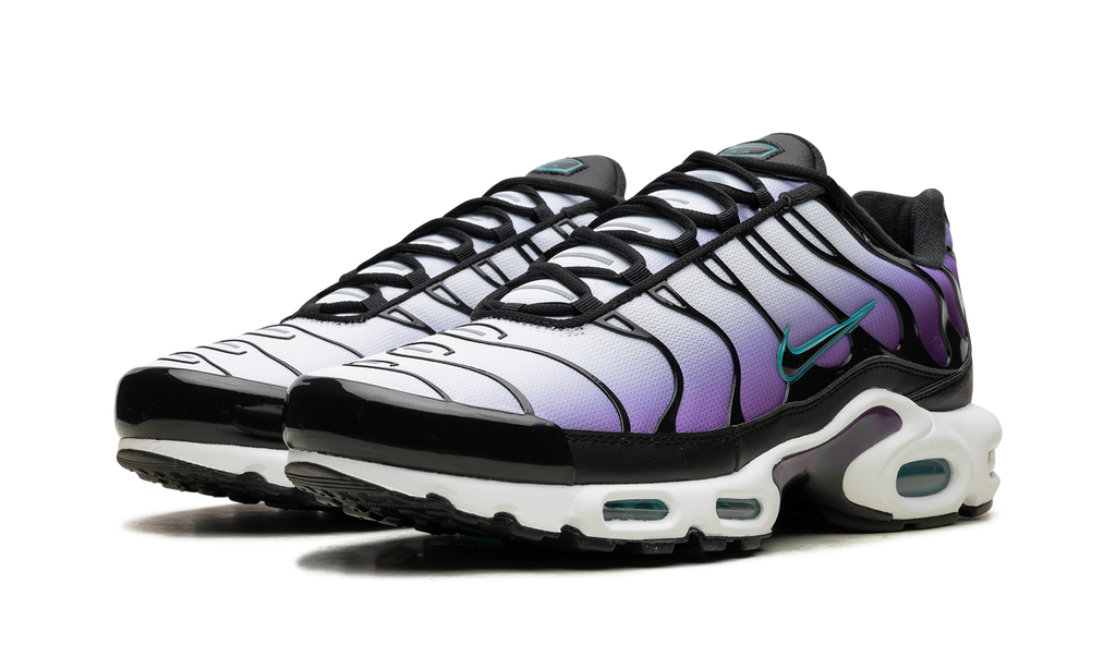 Nike Air Max Plus Reverse Grape FQ2415 500