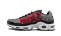 Nike Air Max Plus TN SE Striped AT0040 001