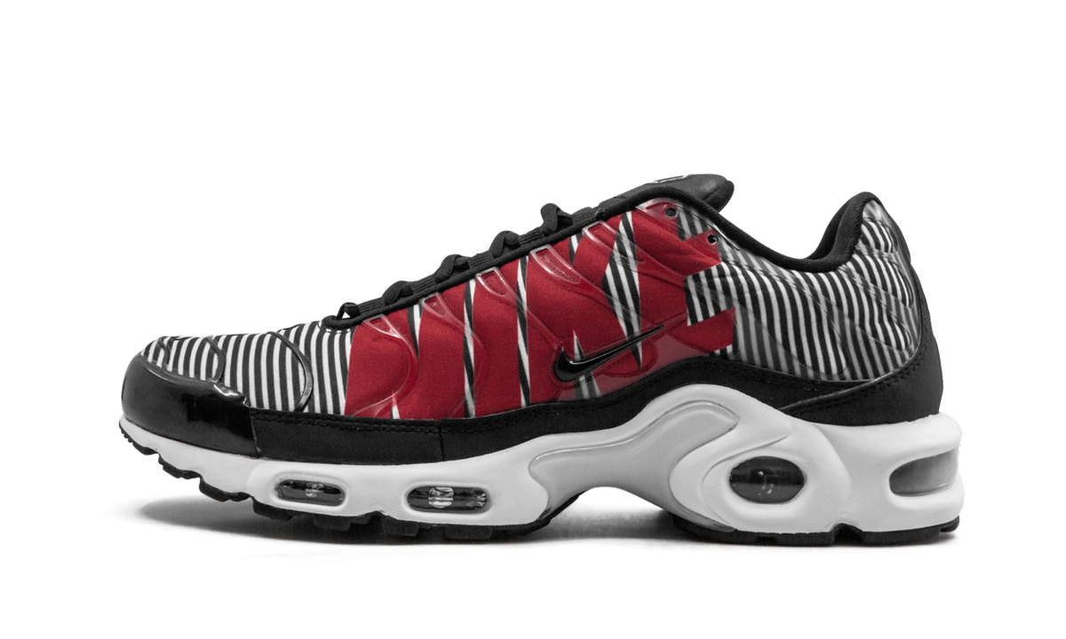 Nike Air Max Plus TN SE Striped AT0040 001