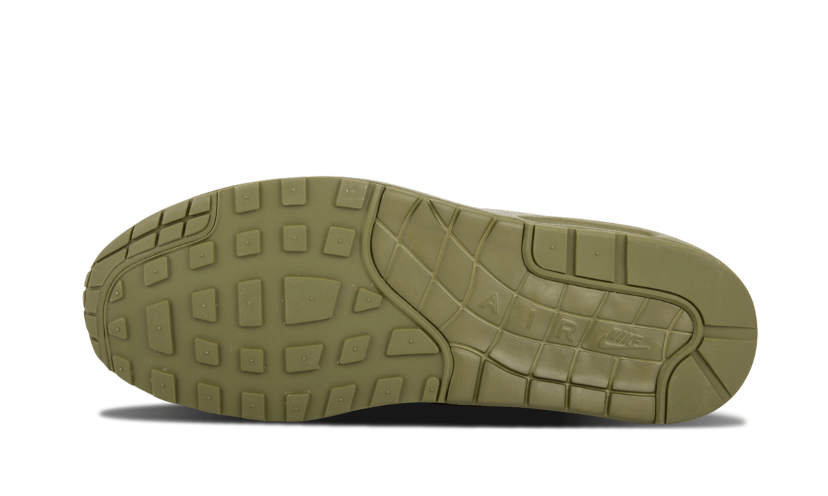 Nike Air Maxim 1 France SP France 607473 200