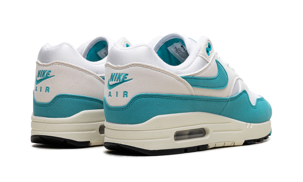 Nike Air Max 1 WMNS Blue DZ2628 107